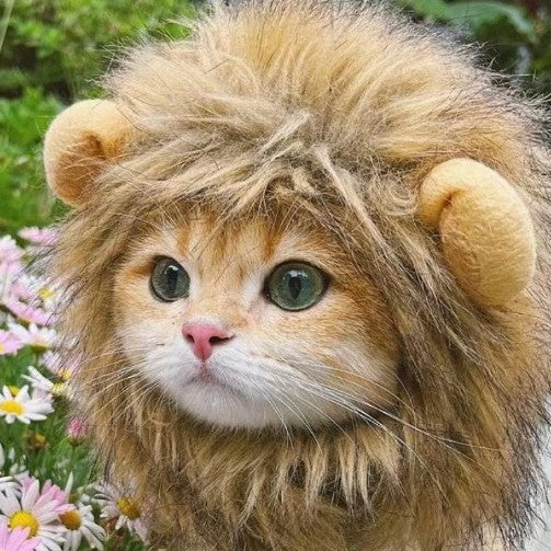 Lion King Hat