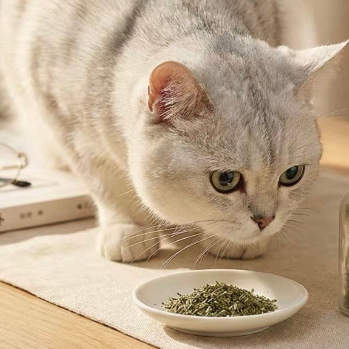 Catnip Loose Leaves - Tube