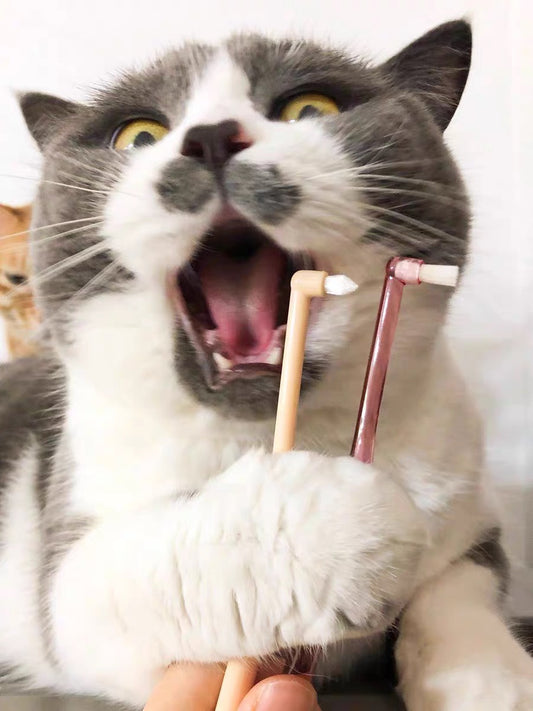 Toothbrush