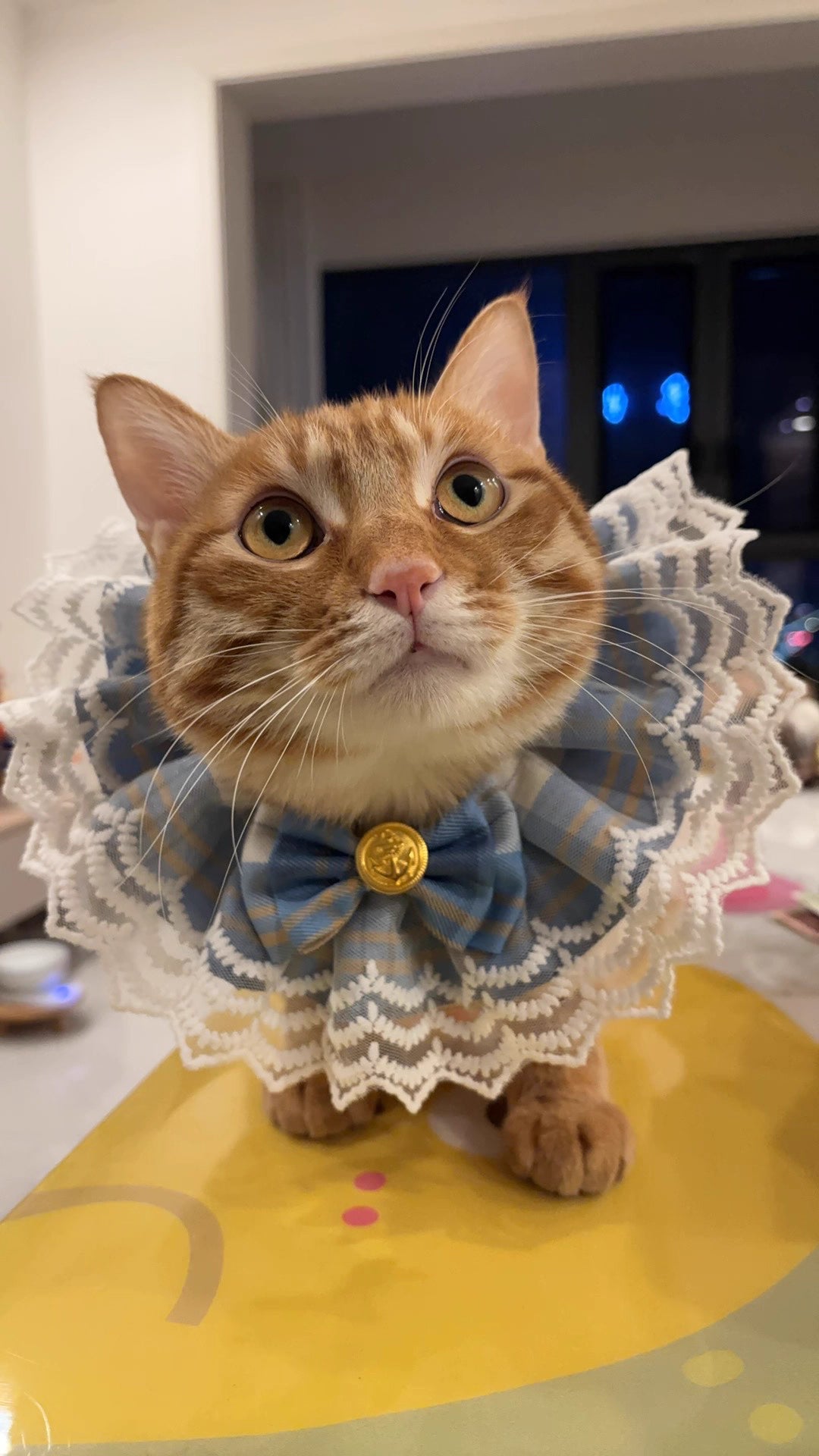 Blue Bandana with Bow