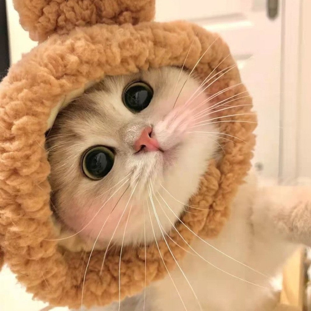 Teddy Bear Hat