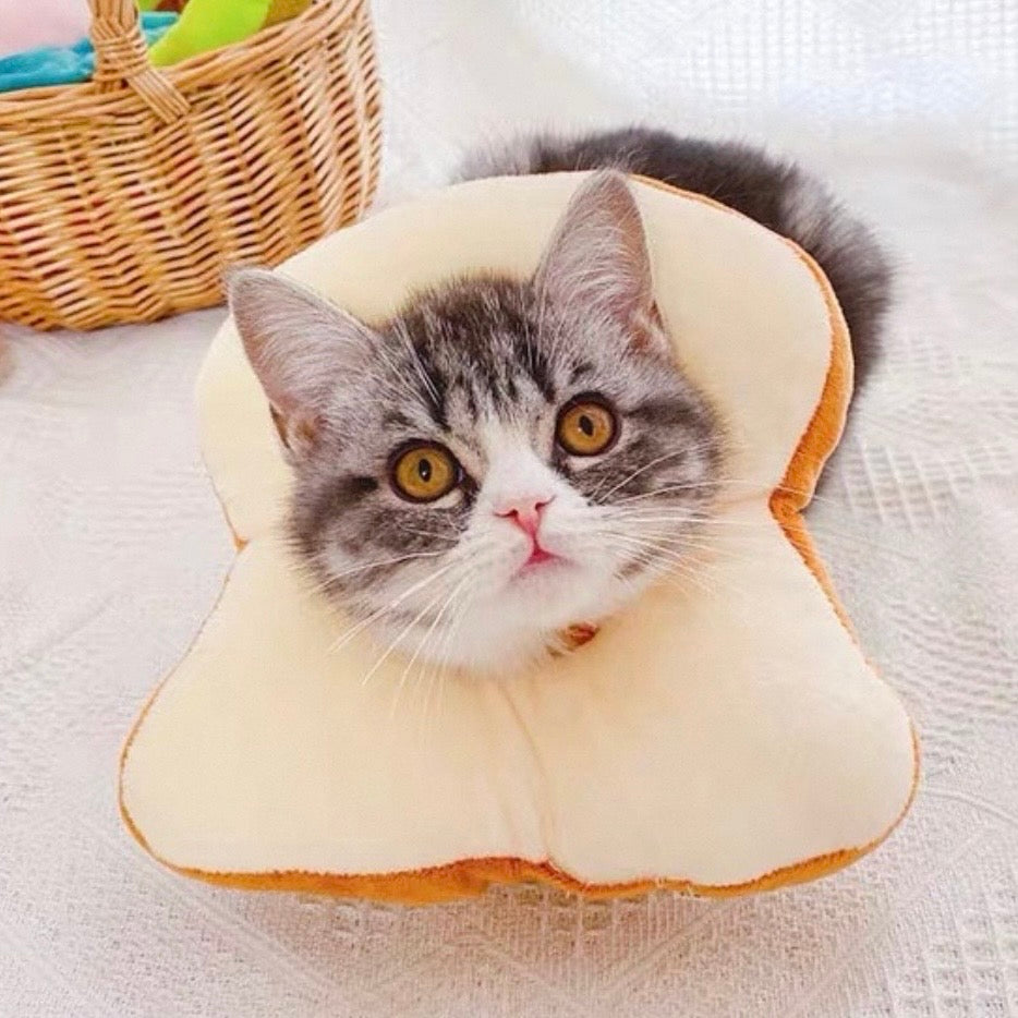 Adjustable Soft Recovery Collar - French Toast