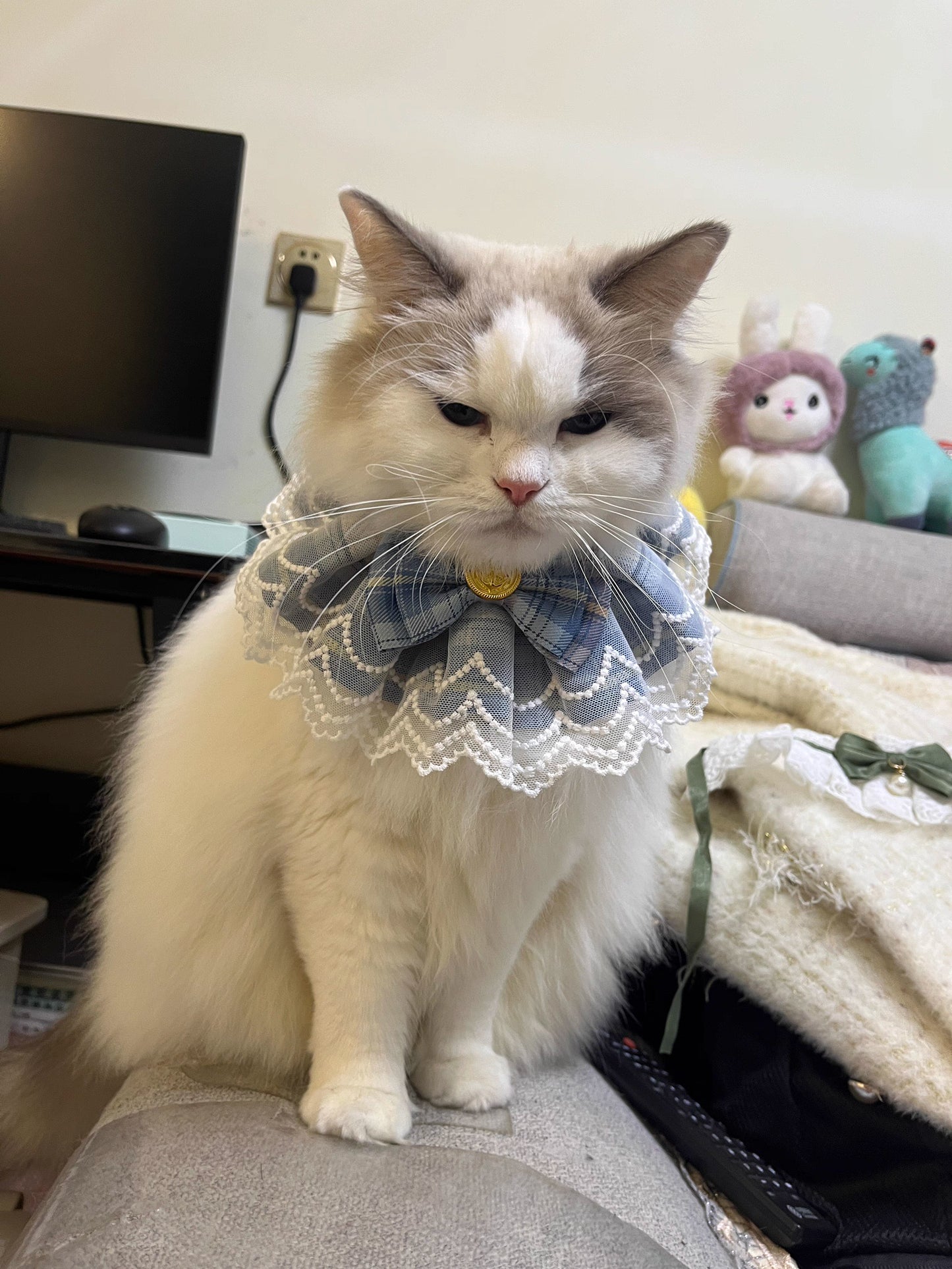 Blue Bandana with Bow