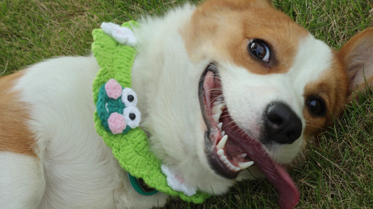 Froggie Bandana