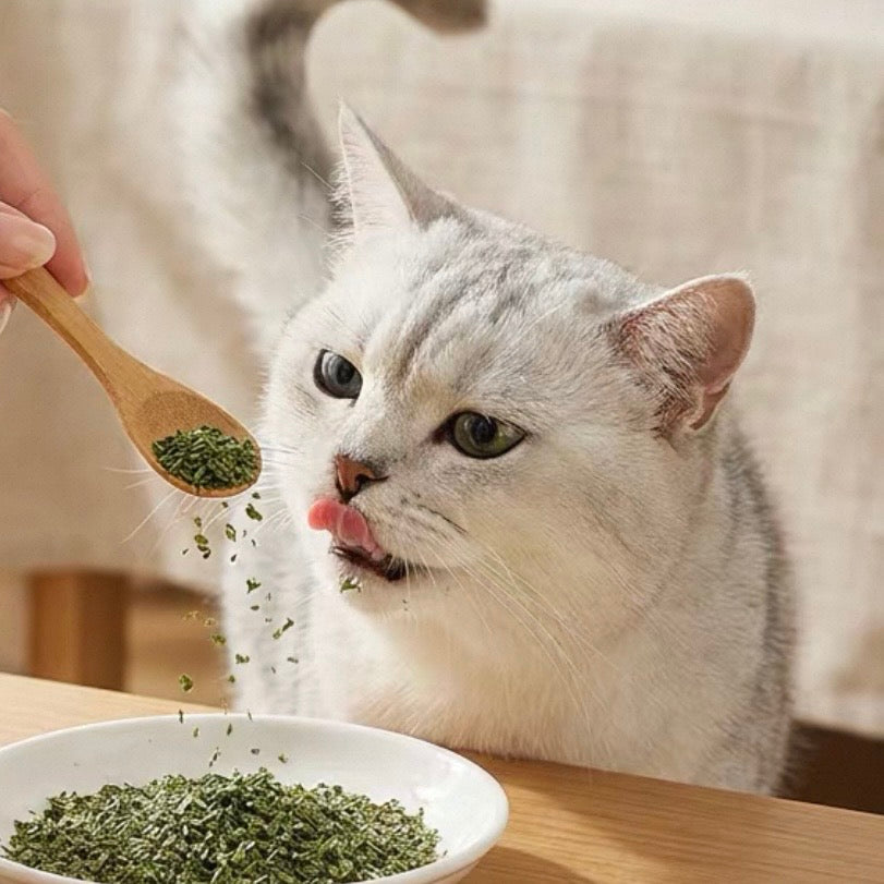 Catnip Loose Leaves - Tube