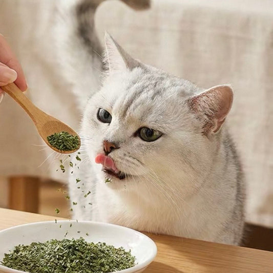 Catnip Loose Leaves - Tube