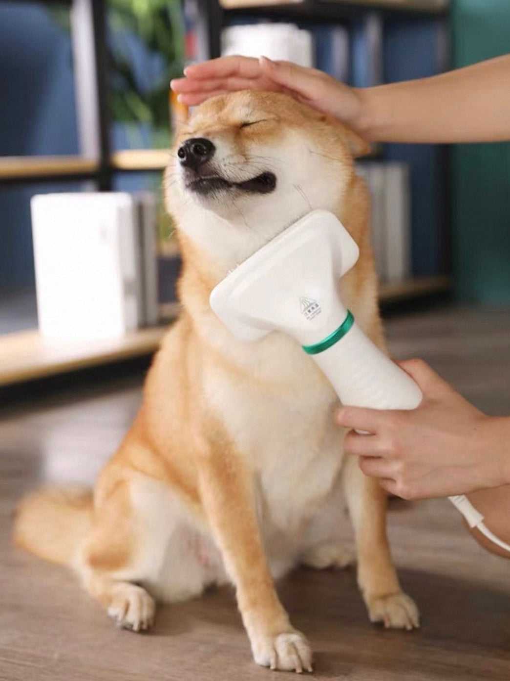 PETKIT Grooming Hair Dryer Brush