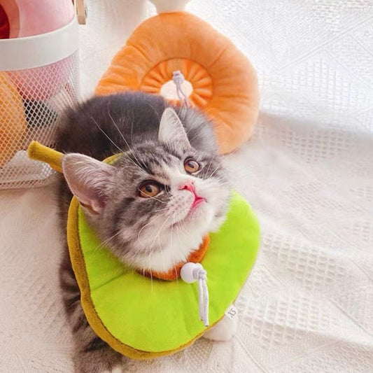 Adjustable Soft Recovery Collar - Avocado